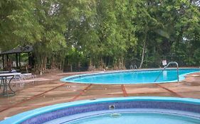 Log 33